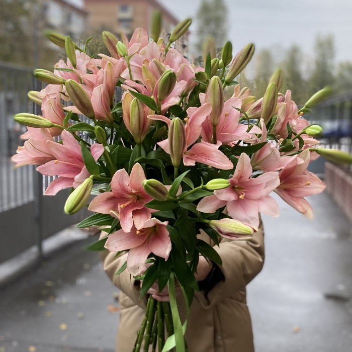 15 розовых лилий Азиатка